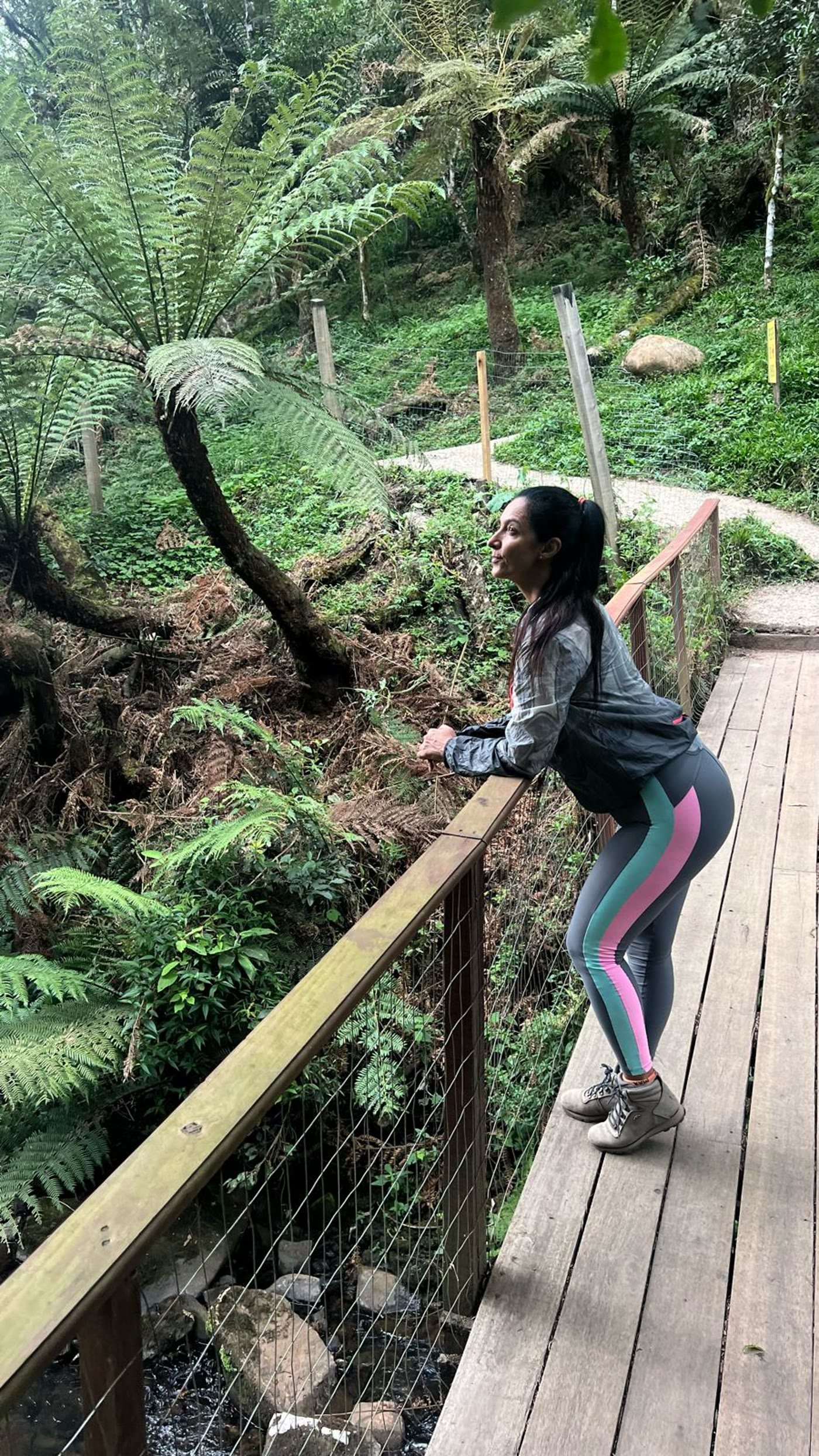 A passarela de madeira no meio da mata de xaxim, a caminho da Cascata Mundo Novo