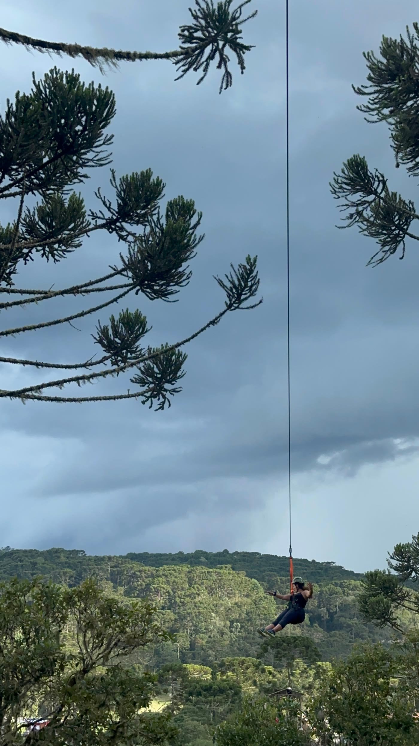 Pessoa suspensa no cabo da tirolesa, entre as copas das araucarias